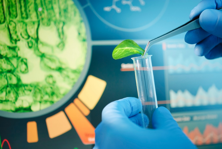 Biozyme Effutreat